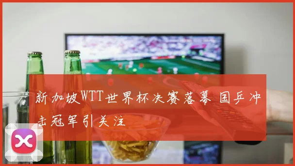 新加坡WTT世界杯决赛落幕 国乒冲击冠军引关注