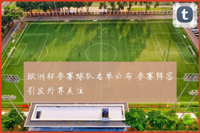 欧洲杯参赛球队名单公布 参赛阵容引发外界关注