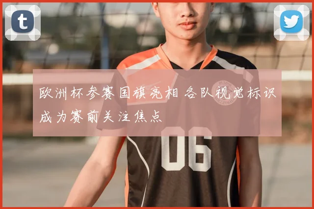 欧洲杯参赛国旗亮相 各队视觉标识成为赛前关注焦点