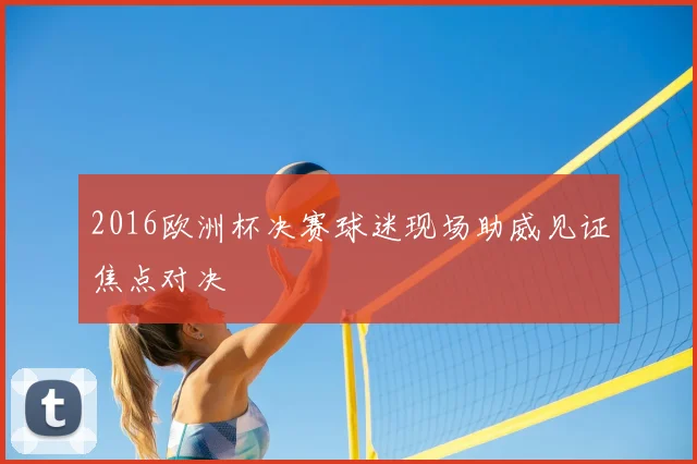 2016欧洲杯决赛球迷现场助威见证焦点对决