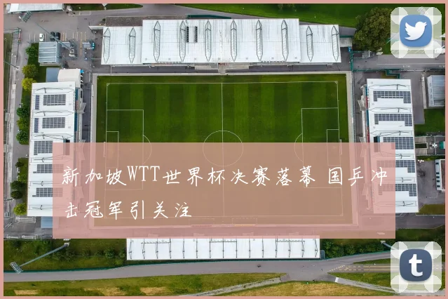 新加坡WTT世界杯决赛落幕 国乒冲击冠军引关注