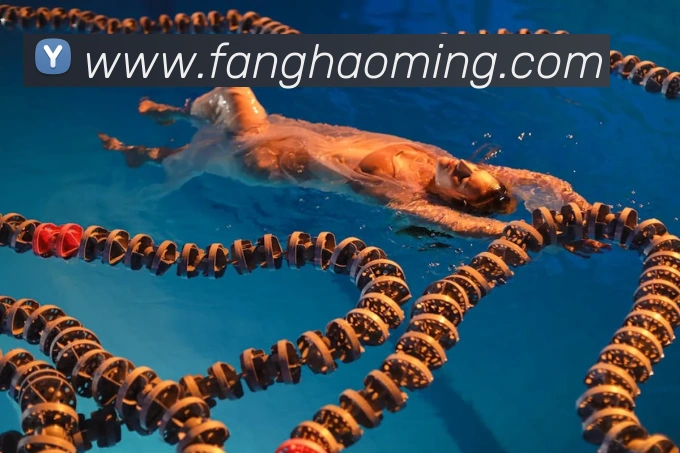 世界杯官方网络平台品牌故事